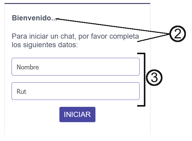 Vista del formulario configurado